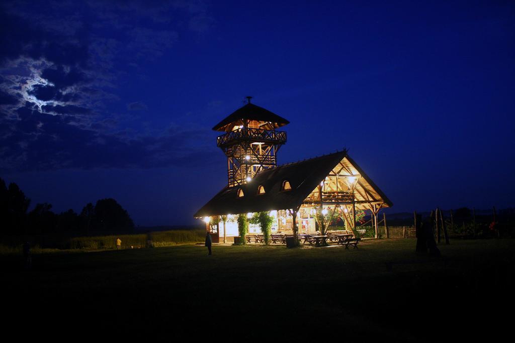 Guest House Zasavica Екстер'єр фото